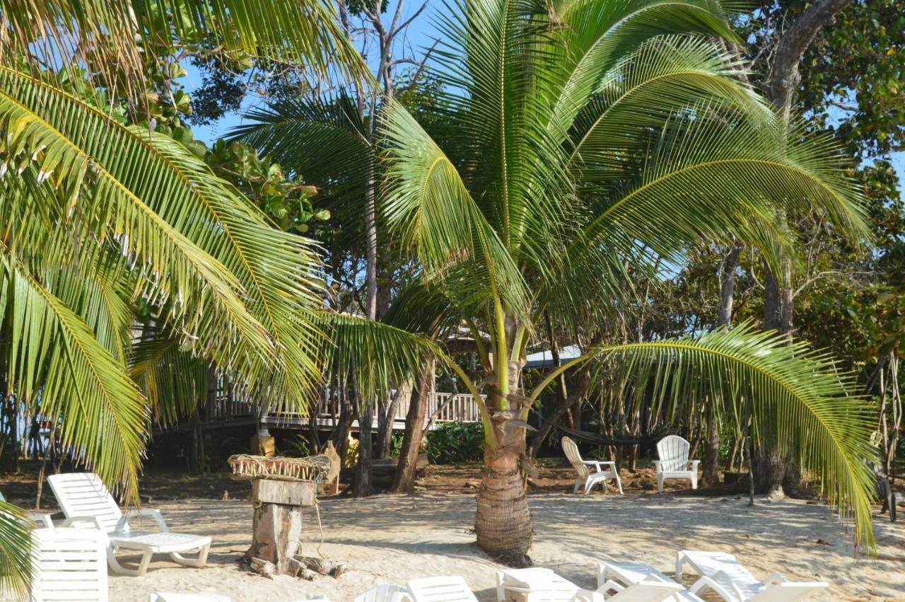 Sonny Island Resort Cabanas Frente Al Mar Punta Bajo Rico Екстериор снимка